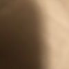 davidvera257